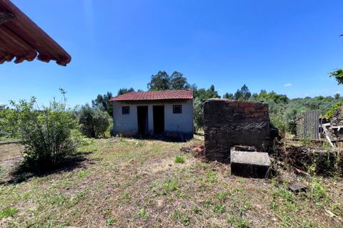 Villa i Tomar, Santarem, Tomar - € 75.000 | Ref: TL016 - foto 8