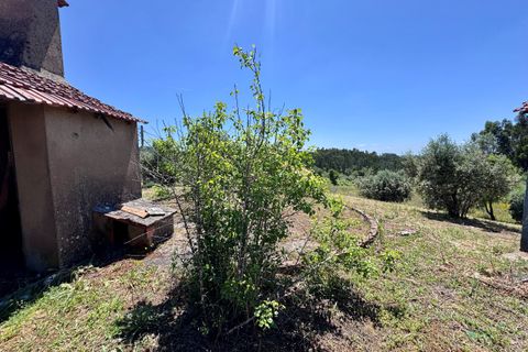 Villa i Tomar, Santarem, Tomar - € 75.000 | Ref: TL016 - foto 9