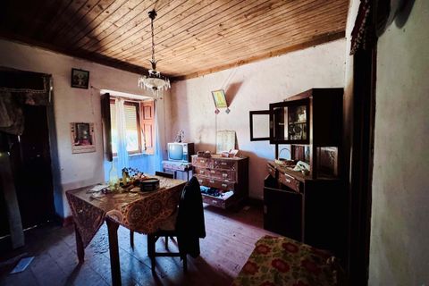 Villa i Tomar, Santarem, Tomar - € 75.000 | Ref: TL016 - foto 13
