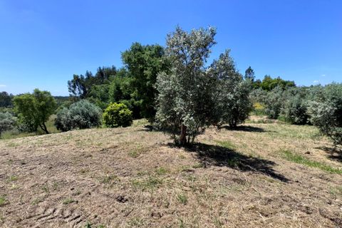 Villa i Tomar, Santarem, Tomar - € 75.000 | Ref: TL016 - foto 31