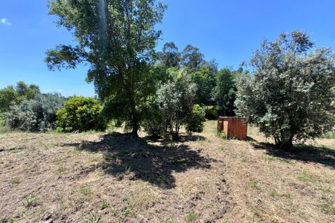 Villa i Tomar, Santarem, Tomar - € 75.000 | Ref: TL016 - foto 32