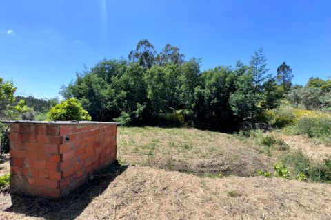 Villa i Tomar, Santarem, Tomar - € 75.000 | Ref: TL016 - foto 33