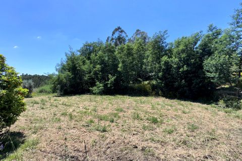 Villa i Tomar, Santarem, Tomar - € 75.000 | Ref: TL016 - foto 34