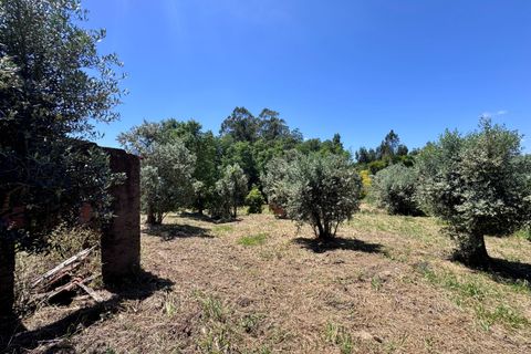 Villa i Tomar, Santarem, Tomar - € 75.000 | Ref: TL016 - foto 36