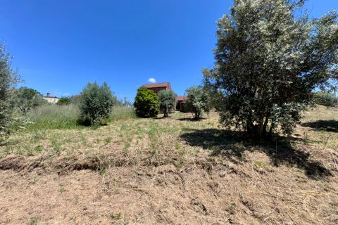 Villa i Tomar, Santarem, Tomar - € 75.000 | Ref: TL016 - foto 37