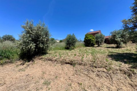 Villa i Tomar, Santarem, Tomar - € 75.000 | Ref: TL016 - foto 38