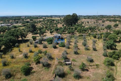 Helårsgrund i Escalos de Cima e Lousa, Castelo Branco, Escalos de Cima e Lousa - € 37.000 | Ref: 125043 - foto 1