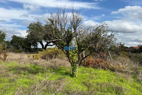 Helårsgrund i Escalos de Cima e Lousa, Castelo Branco, Escalos de Cima e Lousa - € 37.000 | Ref: 125043 - foto 6