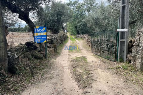 Helårsgrund i Escalos de Cima e Lousa, Castelo Branco, Escalos de Cima e Lousa - € 37.000 | Ref: 125043 - foto 7