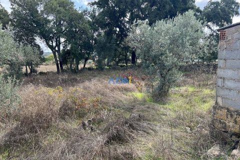 Helårsgrund i Escalos de Cima e Lousa, Castelo Branco, Escalos de Cima e Lousa - € 37.000 | Ref: 125043 - foto 8
