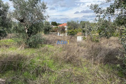 Helårsgrund i Escalos de Cima e Lousa, Castelo Branco, Escalos de Cima e Lousa - € 37.000 | Ref: 125043 - foto 9