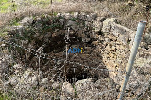 Helårsgrund i Escalos de Cima e Lousa, Castelo Branco, Escalos de Cima e Lousa - € 37.000 | Ref: 125043 - foto 10