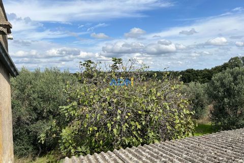 Helårsgrund i Escalos de Cima e Lousa, Castelo Branco, Escalos de Cima e Lousa - € 37.000 | Ref: 125043 - foto 11