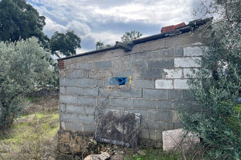Helårsgrund i Escalos de Cima e Lousa, Castelo Branco, Escalos de Cima e Lousa - € 37.000 | Ref: 125043 - foto 13