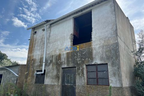 Helårsgrund i Escalos de Cima e Lousa, Castelo Branco, Escalos de Cima e Lousa - € 37.000 | Ref: 125043 - foto 21