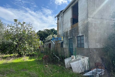 Helårsgrund i Escalos de Cima e Lousa, Castelo Branco, Escalos de Cima e Lousa - € 37.000 | Ref: 125043 - foto 22