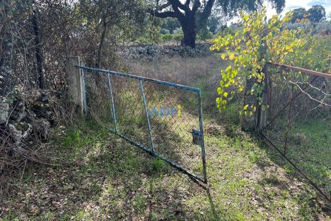 Helårsgrund i Escalos de Cima e Lousa, Castelo Branco, Escalos de Cima e Lousa - € 37.000 | Ref: 125043 - foto 29