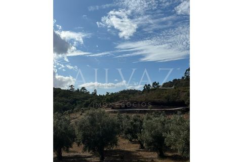 Granja a Ourique, Beja, Ourique - € 98.000 | Ref: MAS_321 - foto 4