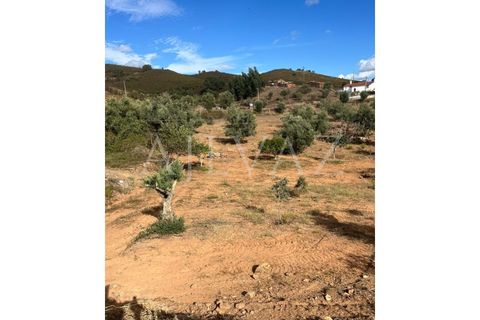 Granja a Ourique, Beja, Ourique - € 98.000 | Ref: MAS_321 - foto 10