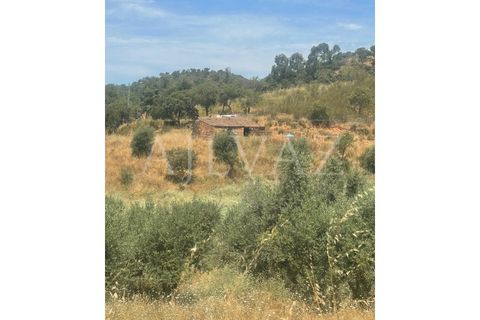 Granja a Ourique, Beja, Ourique - € 98.000 | Ref: MAS_321 - foto 9