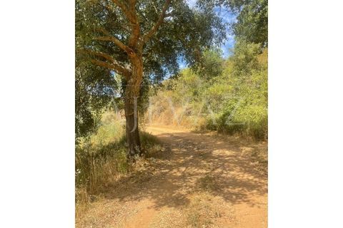 Granja a Ourique, Beja, Ourique - € 98.000 | Ref: MAS_321 - foto 12