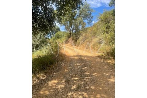 Granja a Ourique, Beja, Ourique - € 98.000 | Ref: MAS_321 - foto 13