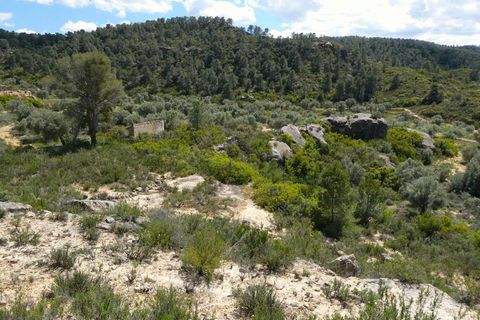 Finca i Maella, Zaragoza, Maella - € 32.000 | Ref: 1059 - foto 1