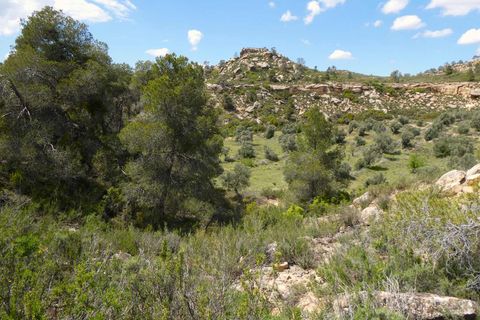 Finca i Maella, Zaragoza, Maella - € 32.000 | Ref: 1059 - foto 26
