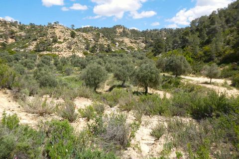 Finca i Maella, Zaragoza, Maella - € 32.000 | Ref: 1059 - foto 27
