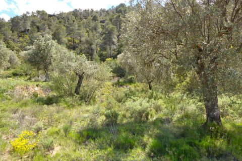 Finca i Maella, Zaragoza, Maella - € 32.000 | Ref: 1059 - foto 21