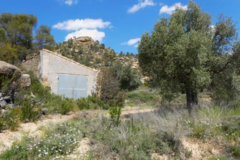 Finca i Maella, Zaragoza, Maella - € 32.000 | Ref: 1059 - foto 8