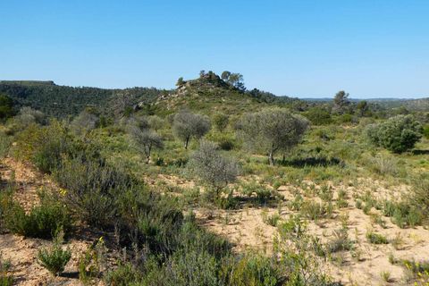Finca i Maella, Zaragoza, Maella - € 32.000 | Ref: 1059 - foto 31