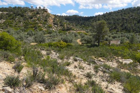 Finca i Maella, Zaragoza, Maella - € 32.000 | Ref: 1059 - foto 19