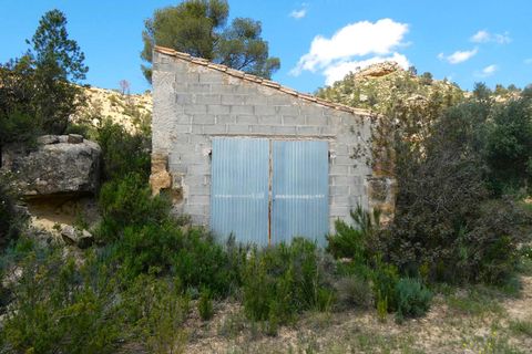 Finca i Maella, Zaragoza, Maella - € 32.000 | Ref: 1059 - foto 9