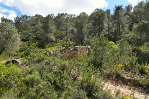 Finca i Maella, Zaragoza, Maella - € 32.000 | Ref: 1059 - foto 22