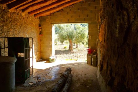 Finca i Maella, Zaragoza, Maella - € 32.000 | Ref: 1059 - foto 11