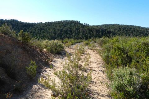Finca i Maella, Zaragoza, Maella - € 32.000 | Ref: 1059 - foto 29