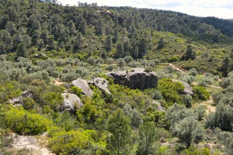 Finca i Maella, Zaragoza, Maella - € 32.000 | Ref: 1059 - foto 20