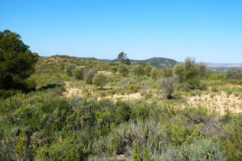 Finca i Maella, Zaragoza, Maella - € 32.000 | Ref: 1059 - foto 30