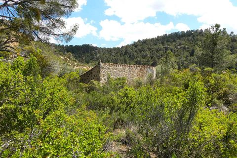 Finca i Maella, Zaragoza, Maella - € 32.000 | Ref: 1059 - foto 15