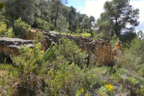 Finca i Maella, Zaragoza, Maella - € 32.000 | Ref: 1059 - foto 23