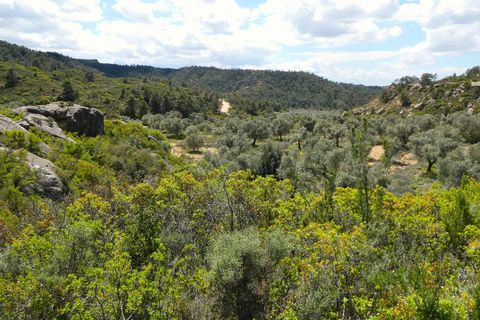 Finca i Maella, Zaragoza, Maella - € 32.000 | Ref: 1059 - foto 17