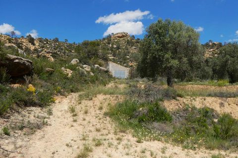 Finca i Maella, Zaragoza, Maella - € 32.000 | Ref: 1059 - foto 6