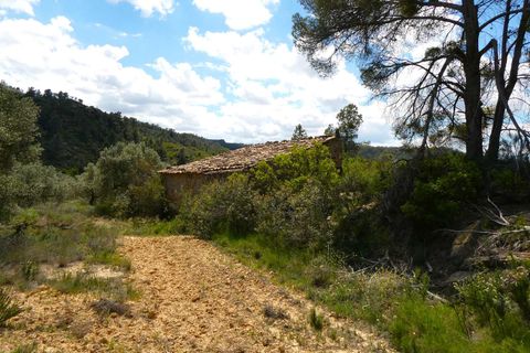 Finca i Maella, Zaragoza, Maella - € 32.000 | Ref: 1059 - foto 14