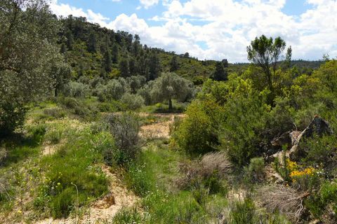Finca i Maella, Zaragoza, Maella - € 32.000 | Ref: 1059 - foto 7