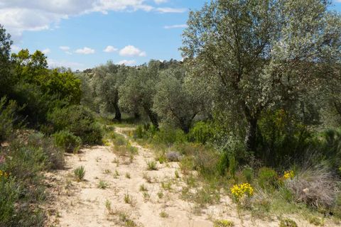 Finca i Maella, Zaragoza, Maella - € 32.000 | Ref: 1059 - foto 25