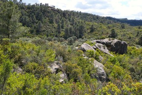 Finca i Maella, Zaragoza, Maella - € 32.000 | Ref: 1059 - foto 16