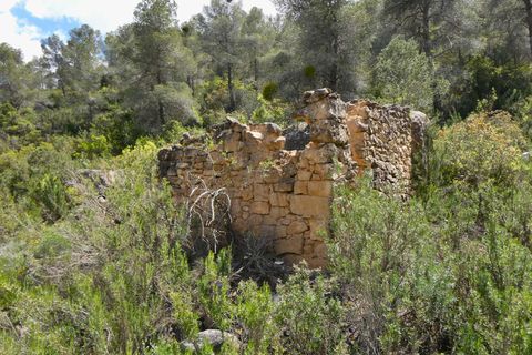 Finca i Maella, Zaragoza, Maella - € 32.000 | Ref: 1059 - foto 24