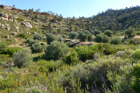 Finca i Maella, Zaragoza, Maella - € 32.000 | Ref: 1059 - foto 32