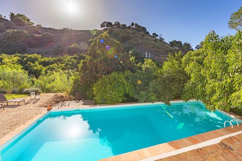 Finca i Coin, Malaga, Coin - € 990 000 | Ref: SPP4078807-FO - foto 2